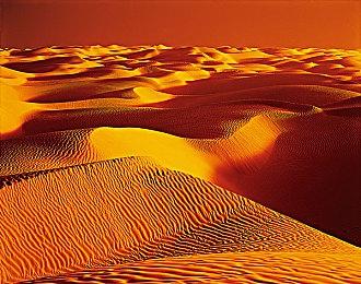 《Screw Drivers》免费登陆Steam 物理规则竞速战斗