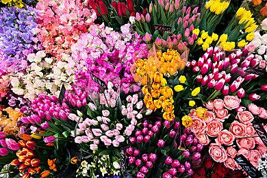 手绘治愈系探险游戏《田园记》将于6＆13发行